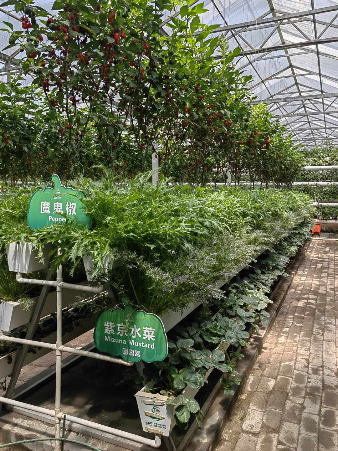 潍坊寿光蔬菜博览会