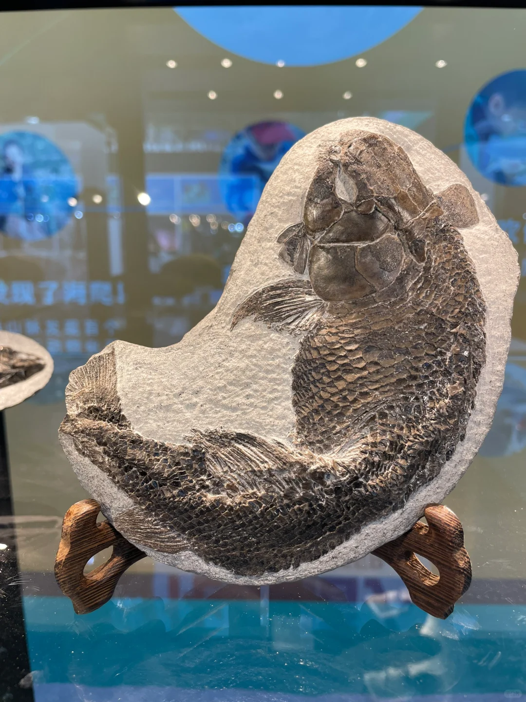 南京矿物化石博览会-一角