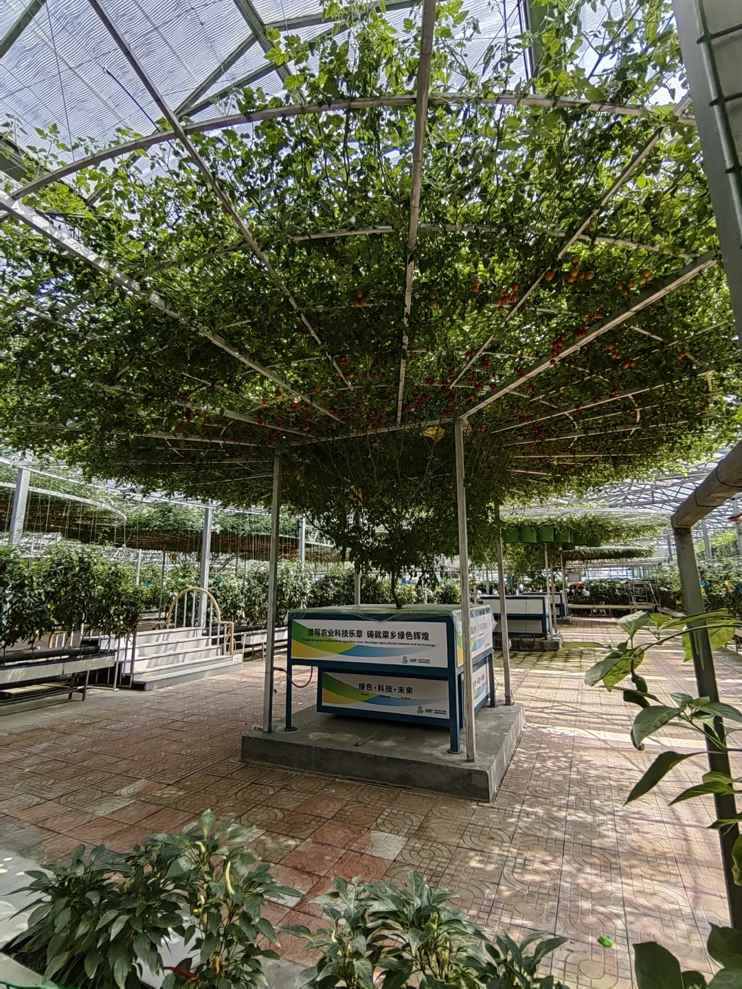 潍坊寿光蔬菜博览会