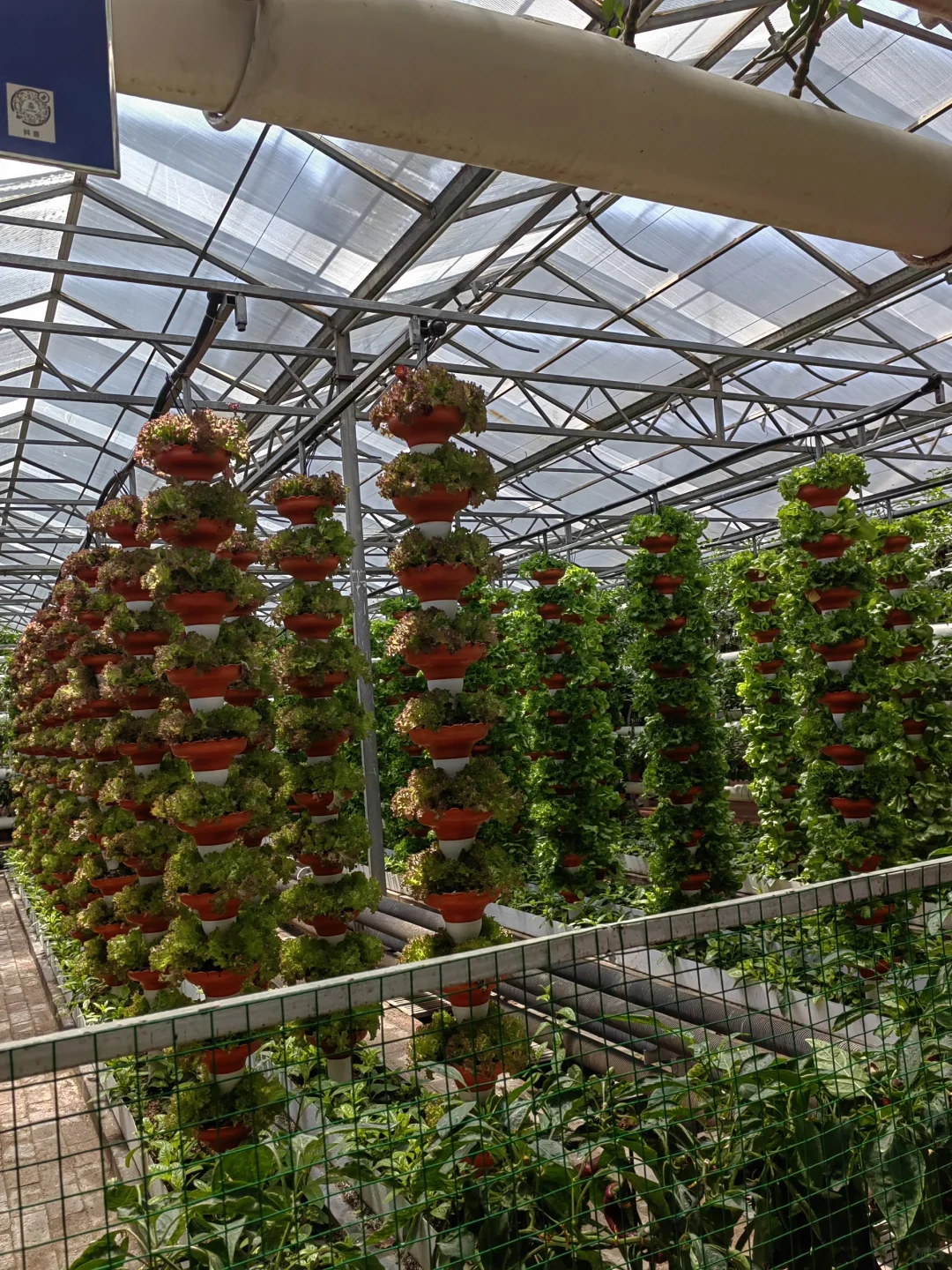 潍坊寿光蔬菜博览会