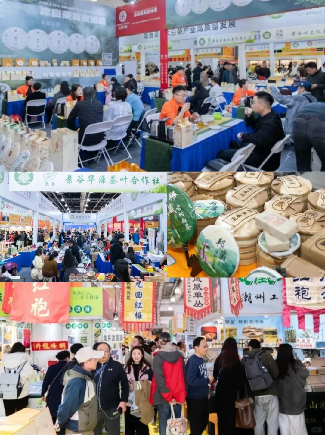 2025上海茶博会，4月25日至28日，免费