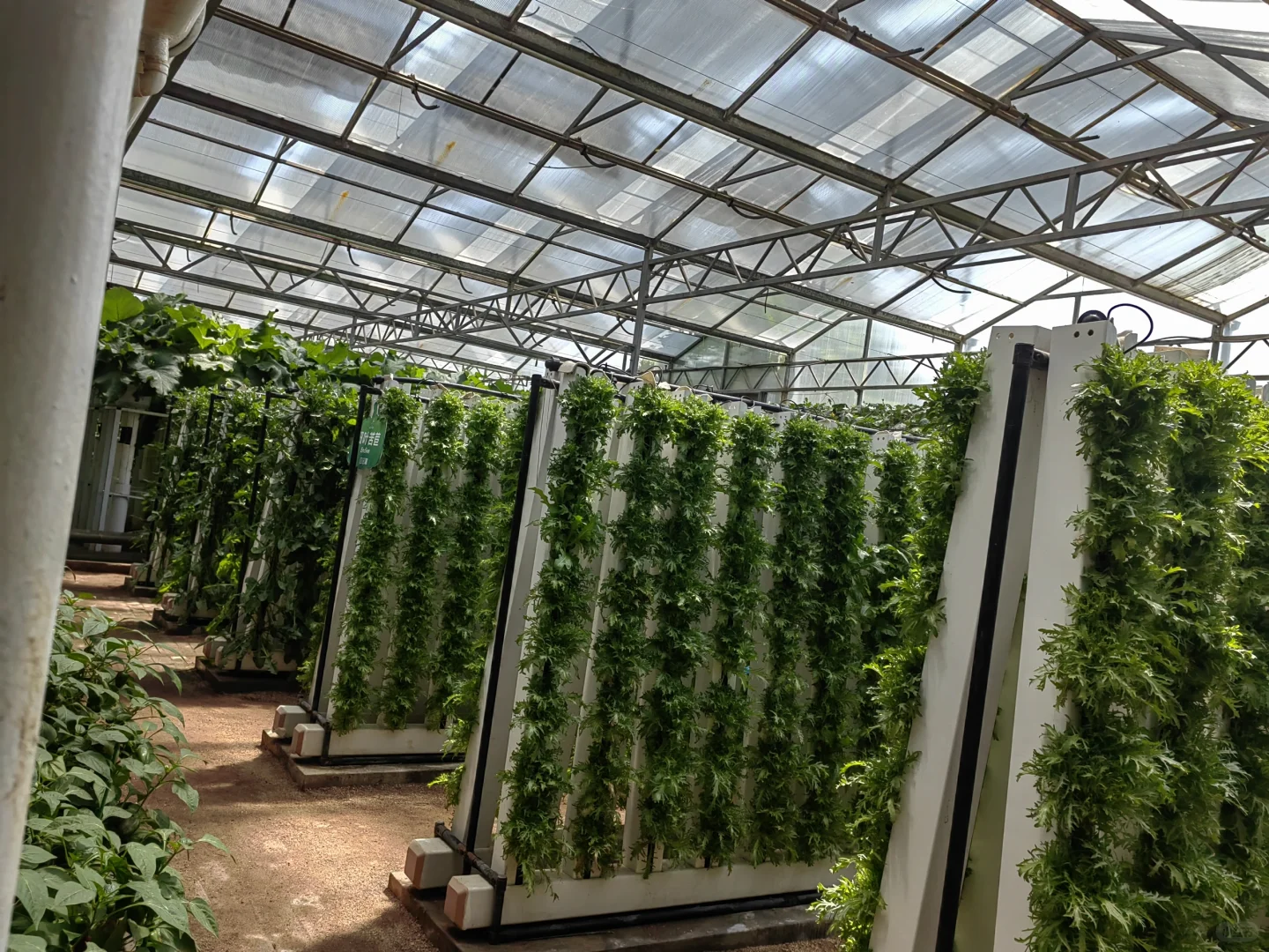 潍坊寿光蔬菜博览会