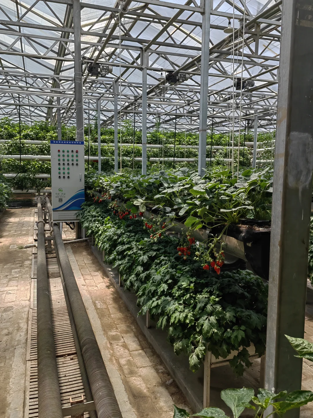 潍坊寿光蔬菜博览会