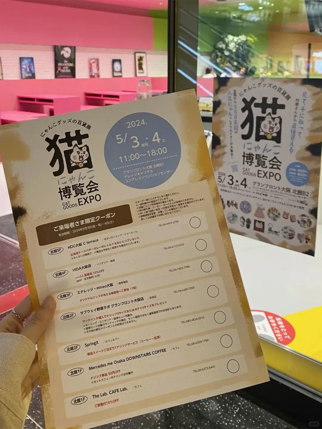 ? 铲屎官的快乐,关西猫猫大博览会来袭