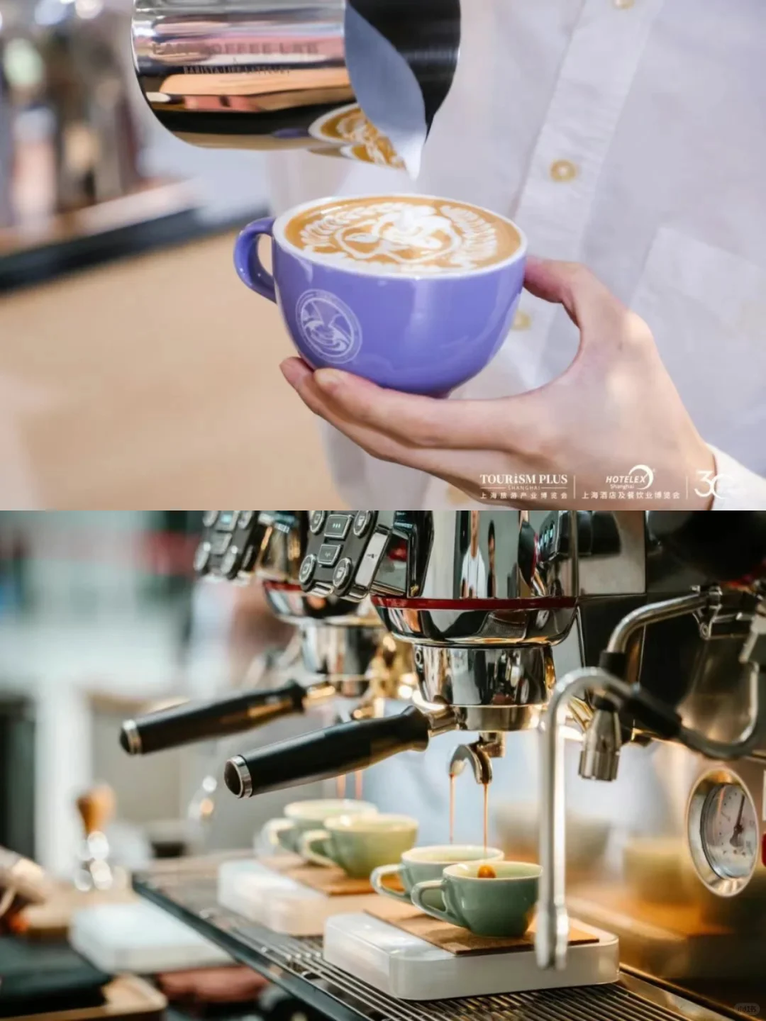 2025上海咖啡展逛展攻略+免费门票?