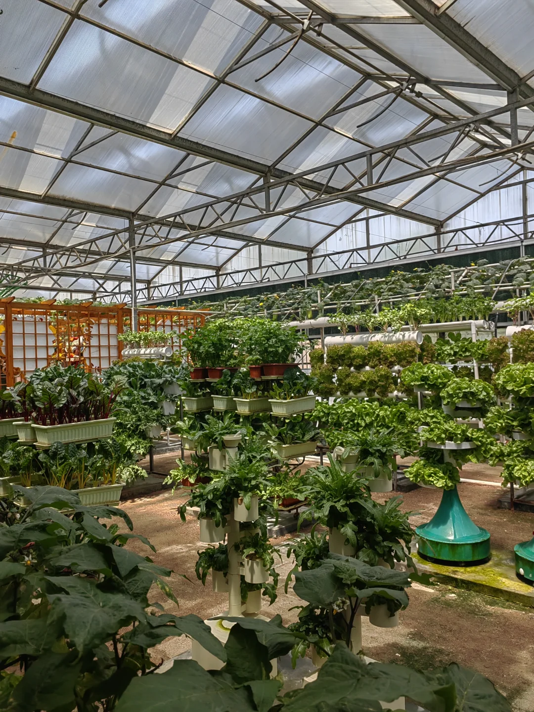 潍坊寿光蔬菜博览会