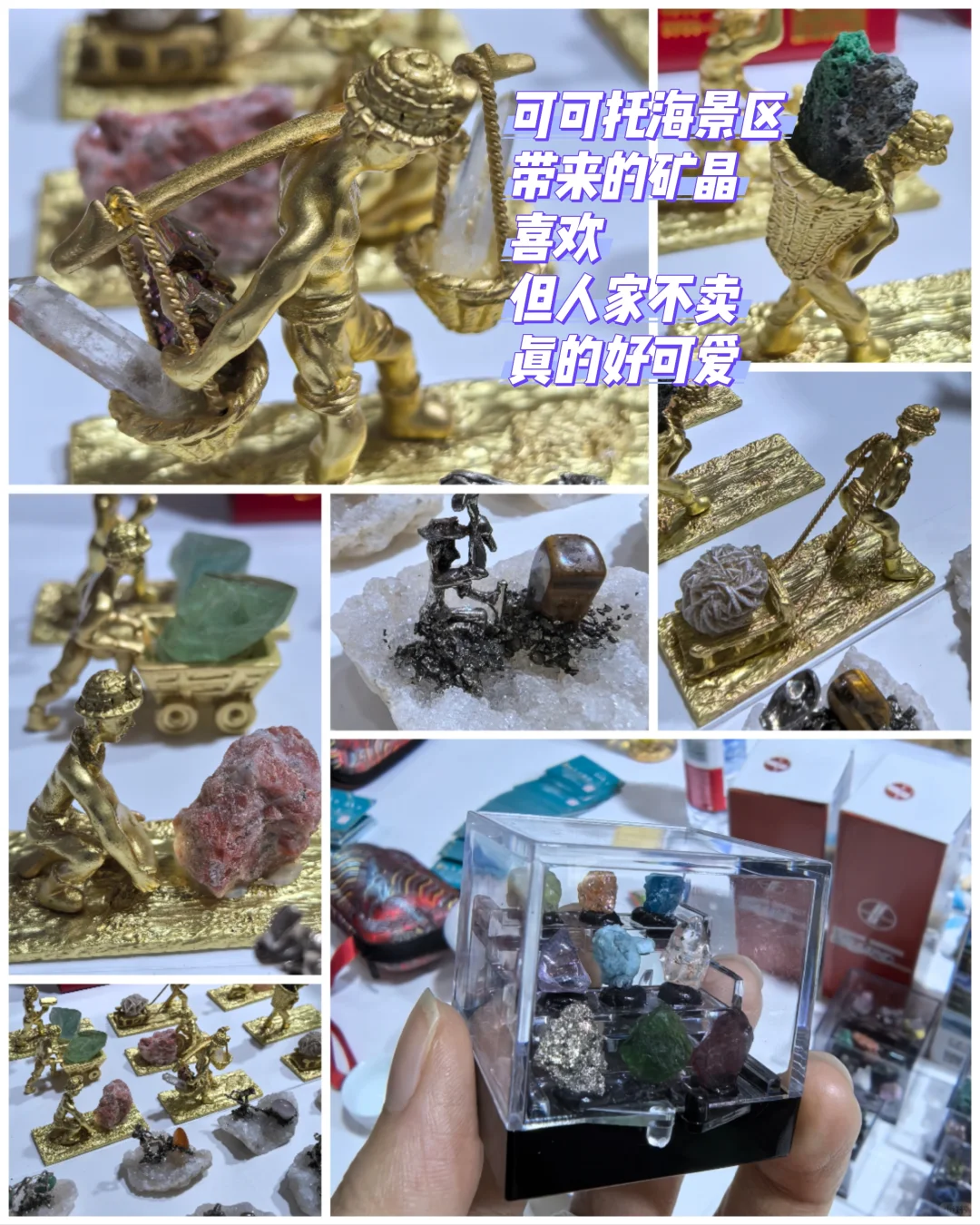 一年一度的新疆旅游博览会又来啦 免票入场