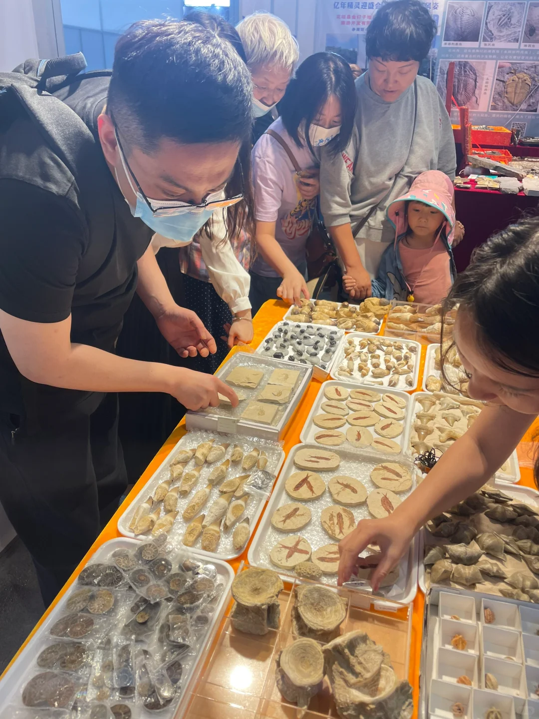 南京矿物化石博览会-一角