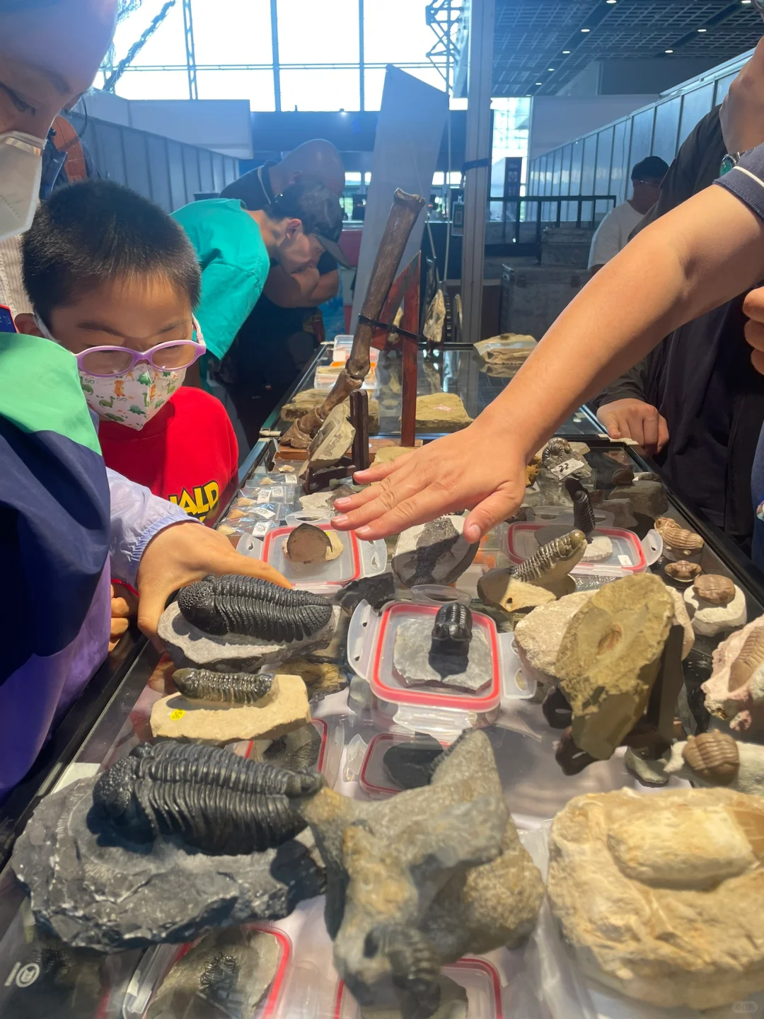 南京矿物化石博览会-一角