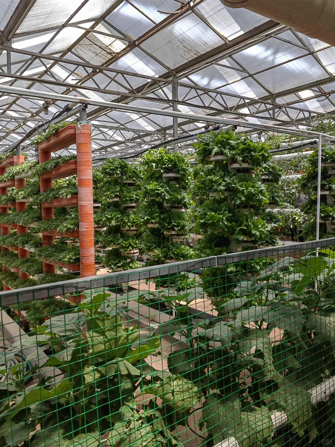 潍坊寿光蔬菜博览会