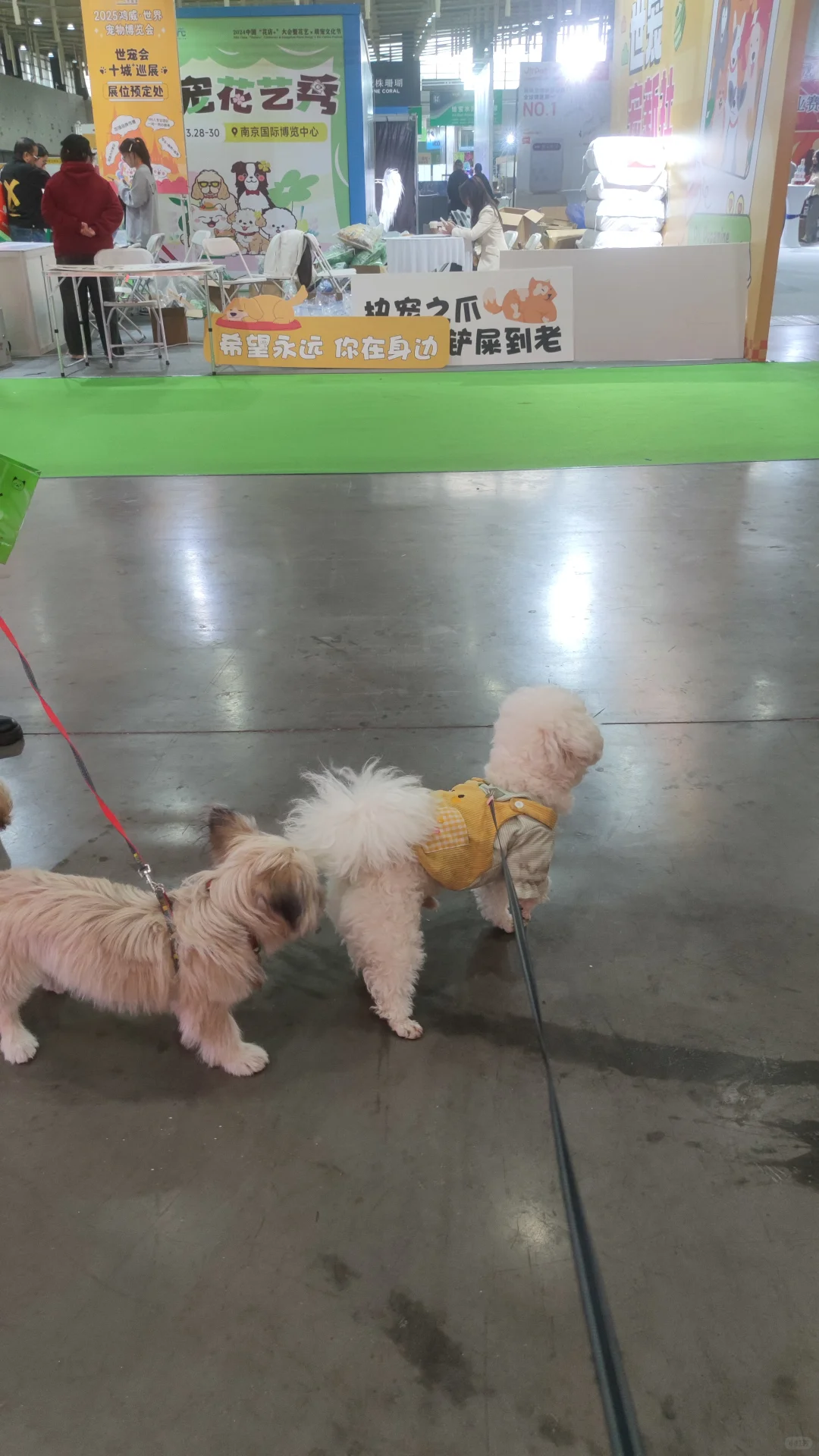 南京2025宠物博览会来啦~