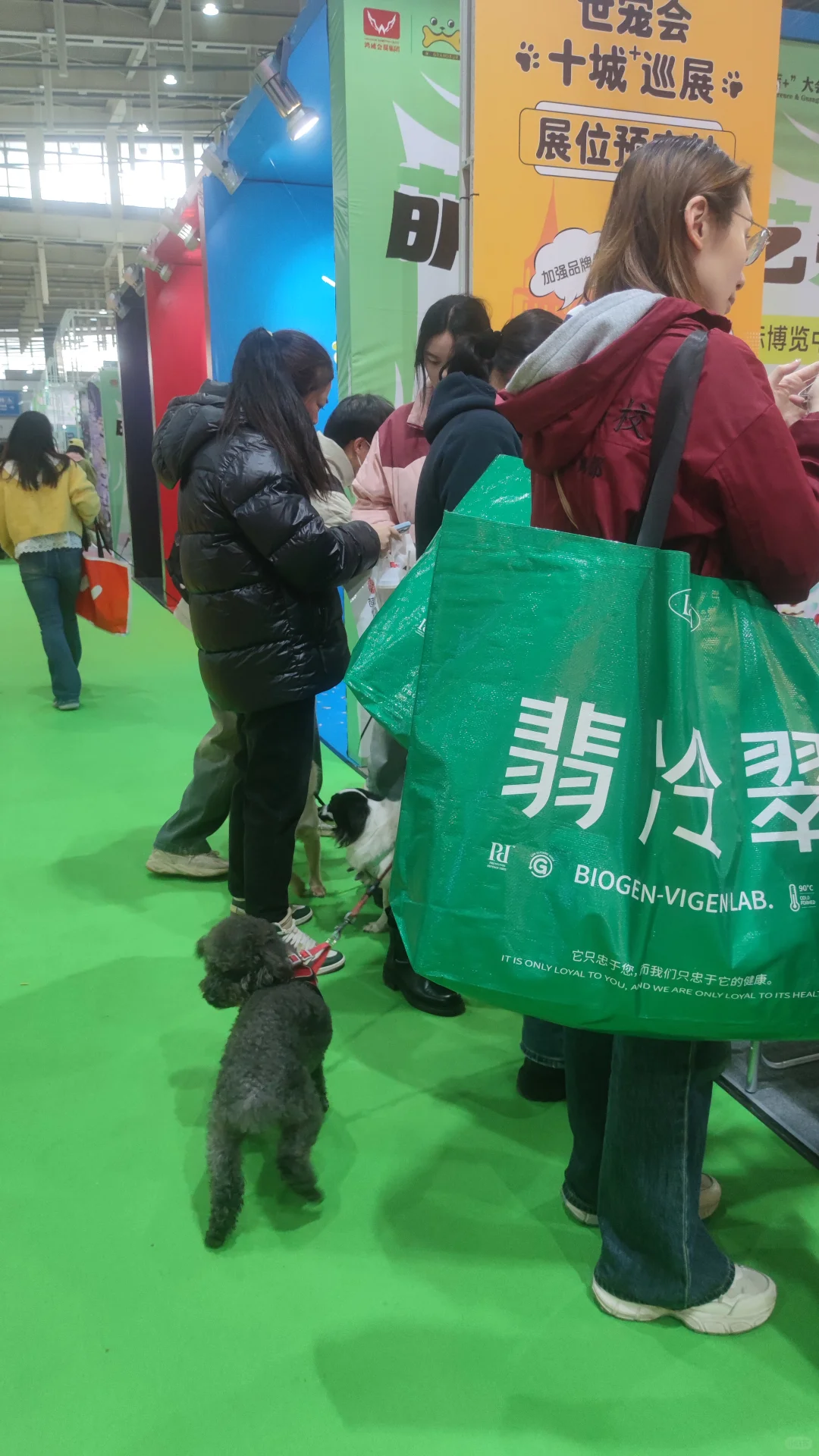 南京2025宠物博览会来啦~