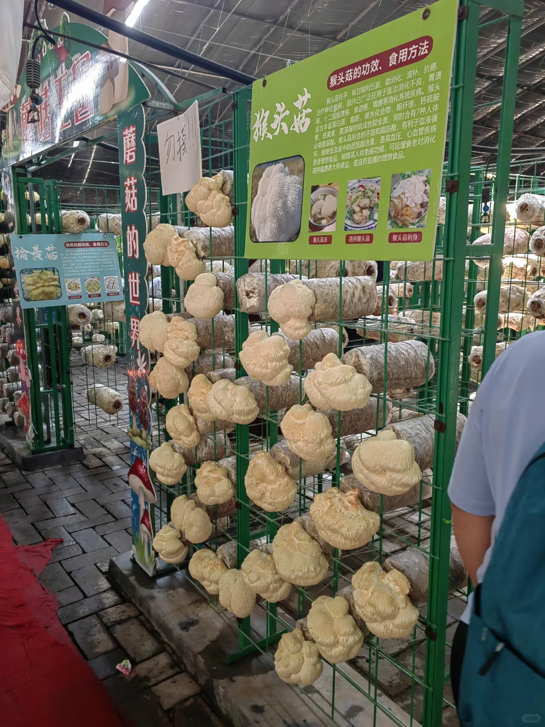 潍坊寿光蔬菜博览会