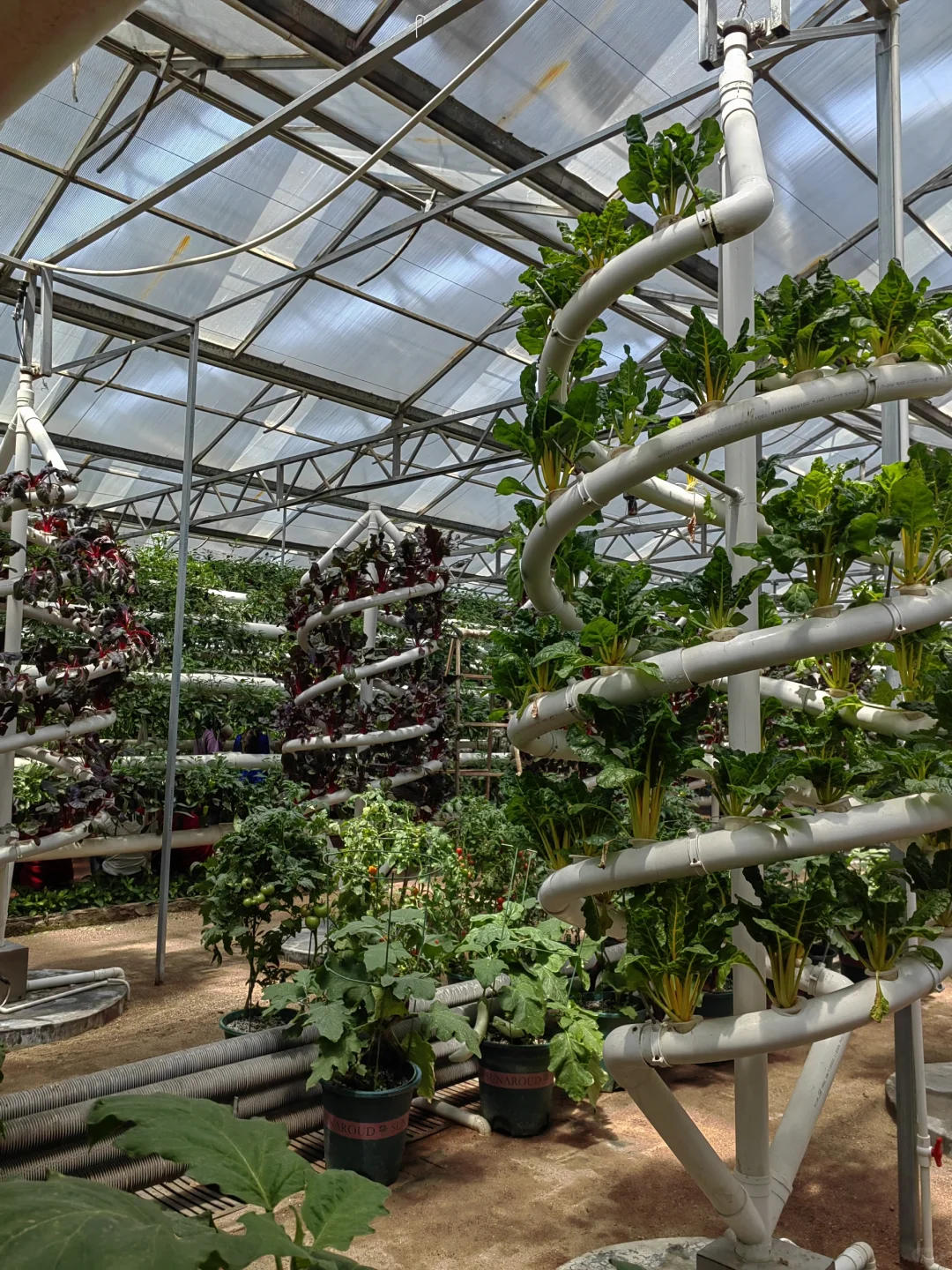 潍坊寿光蔬菜博览会