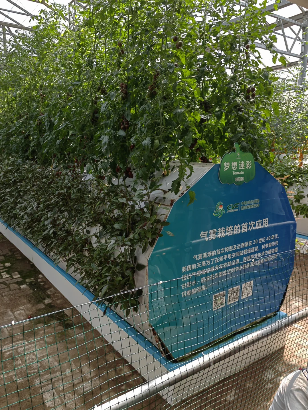 潍坊寿光蔬菜博览会