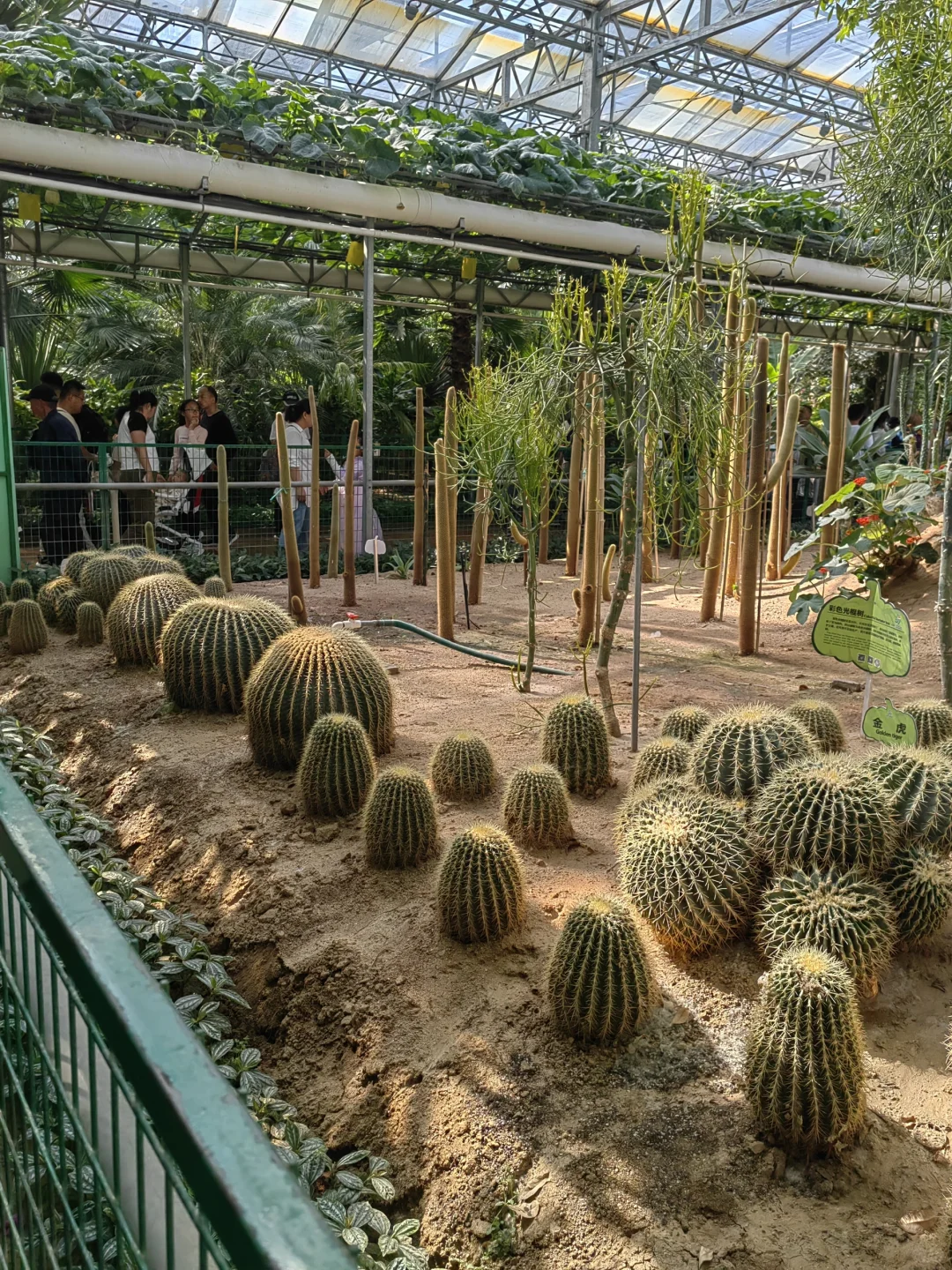 潍坊寿光蔬菜博览会