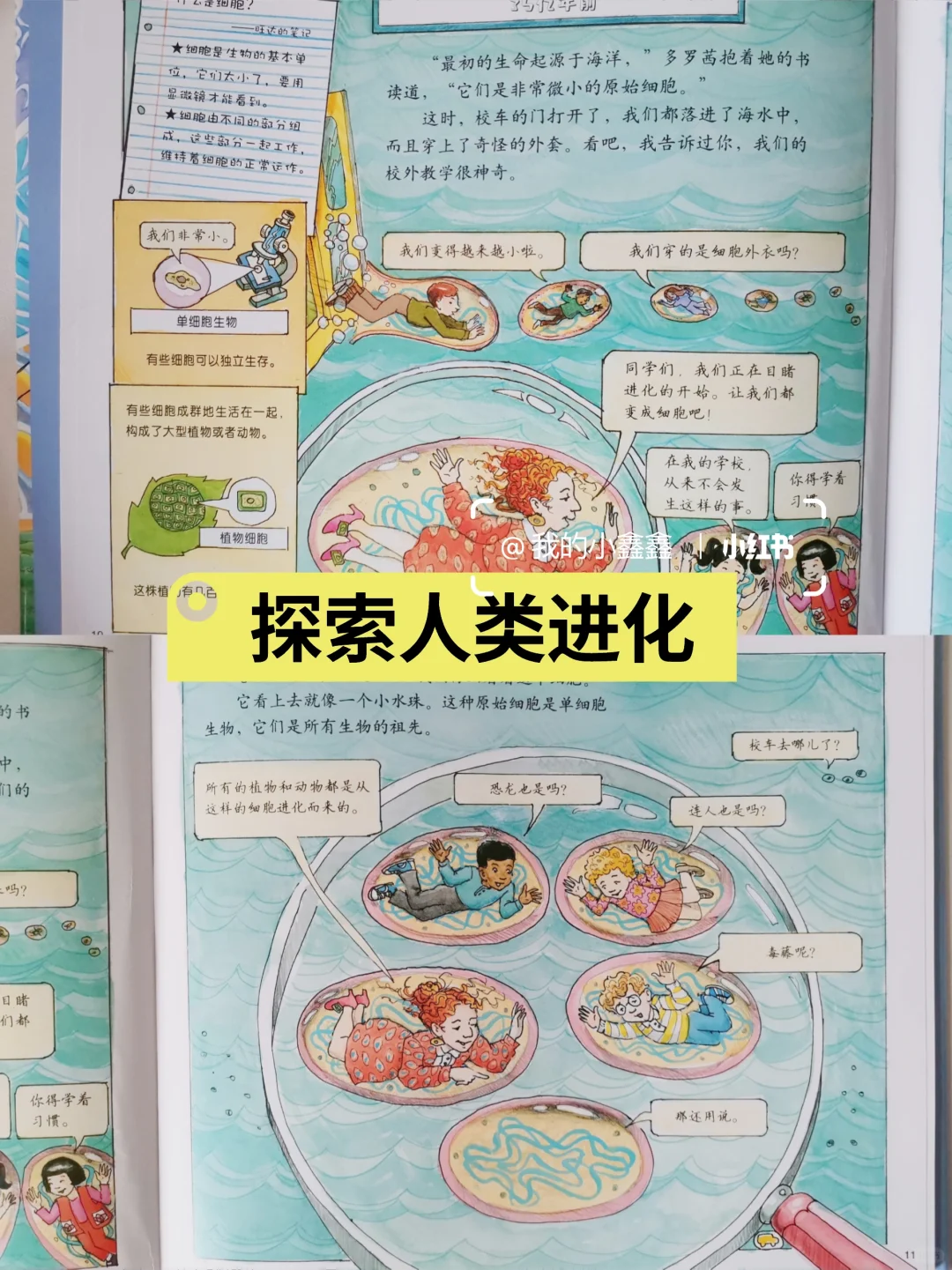 一篇快速说清｜神奇校车5个版本区别和内容