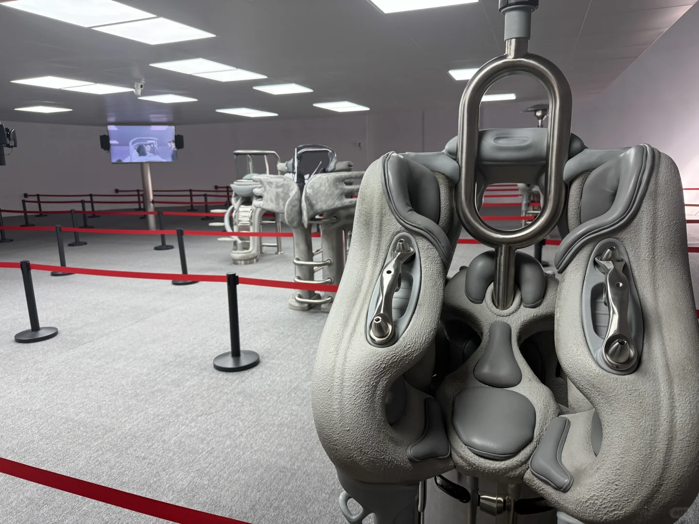 上海?2025值得一看的装置艺术展别错过了！