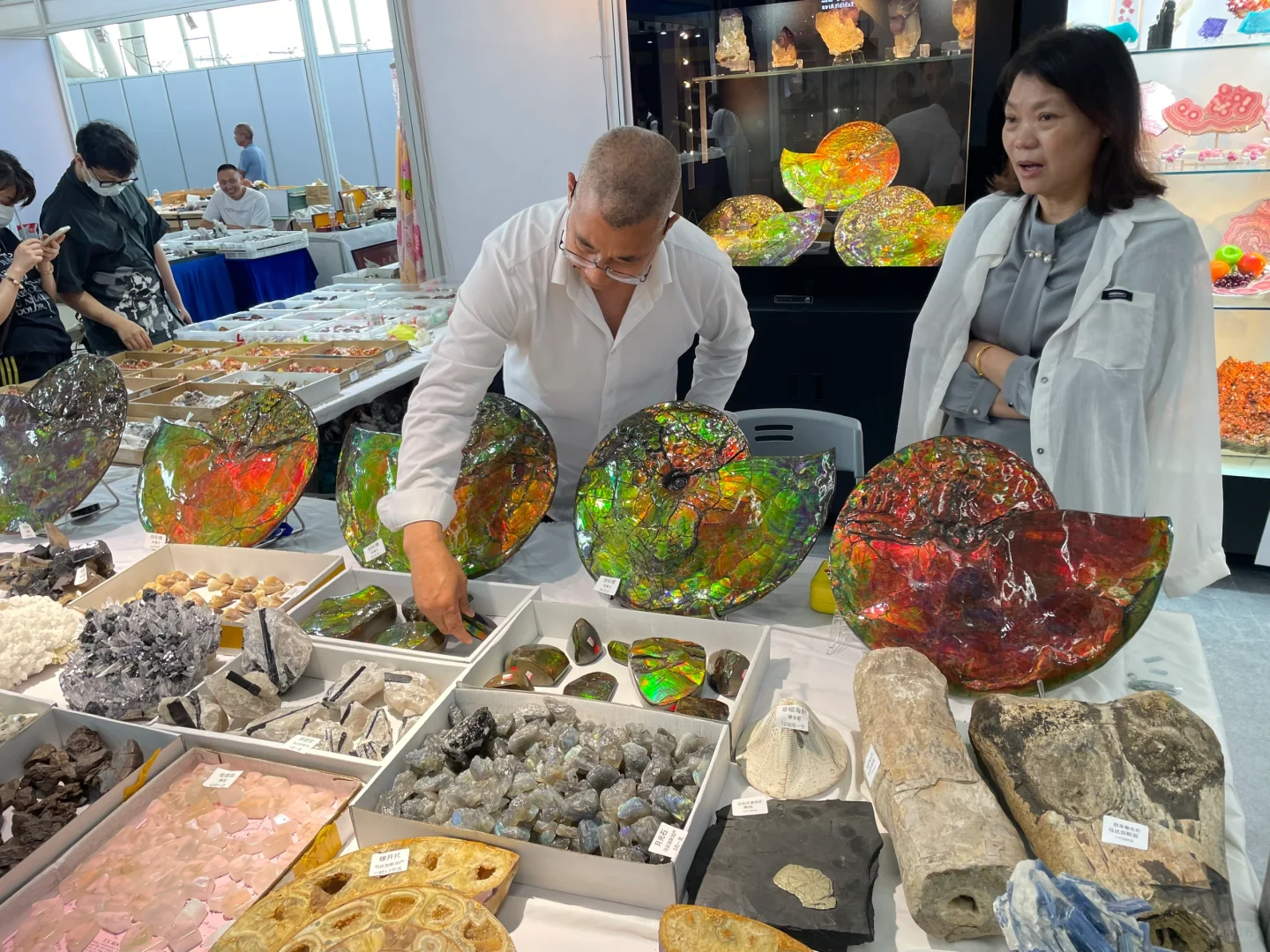 南京矿物化石博览会-一角