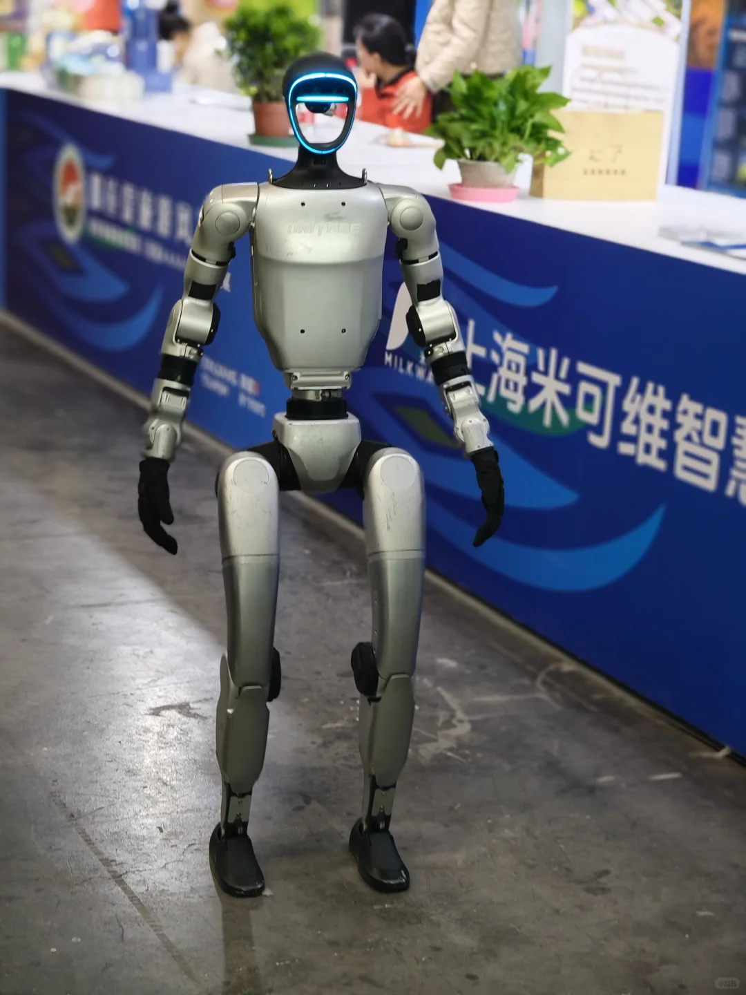 【第六届新疆春季旅游博览会】