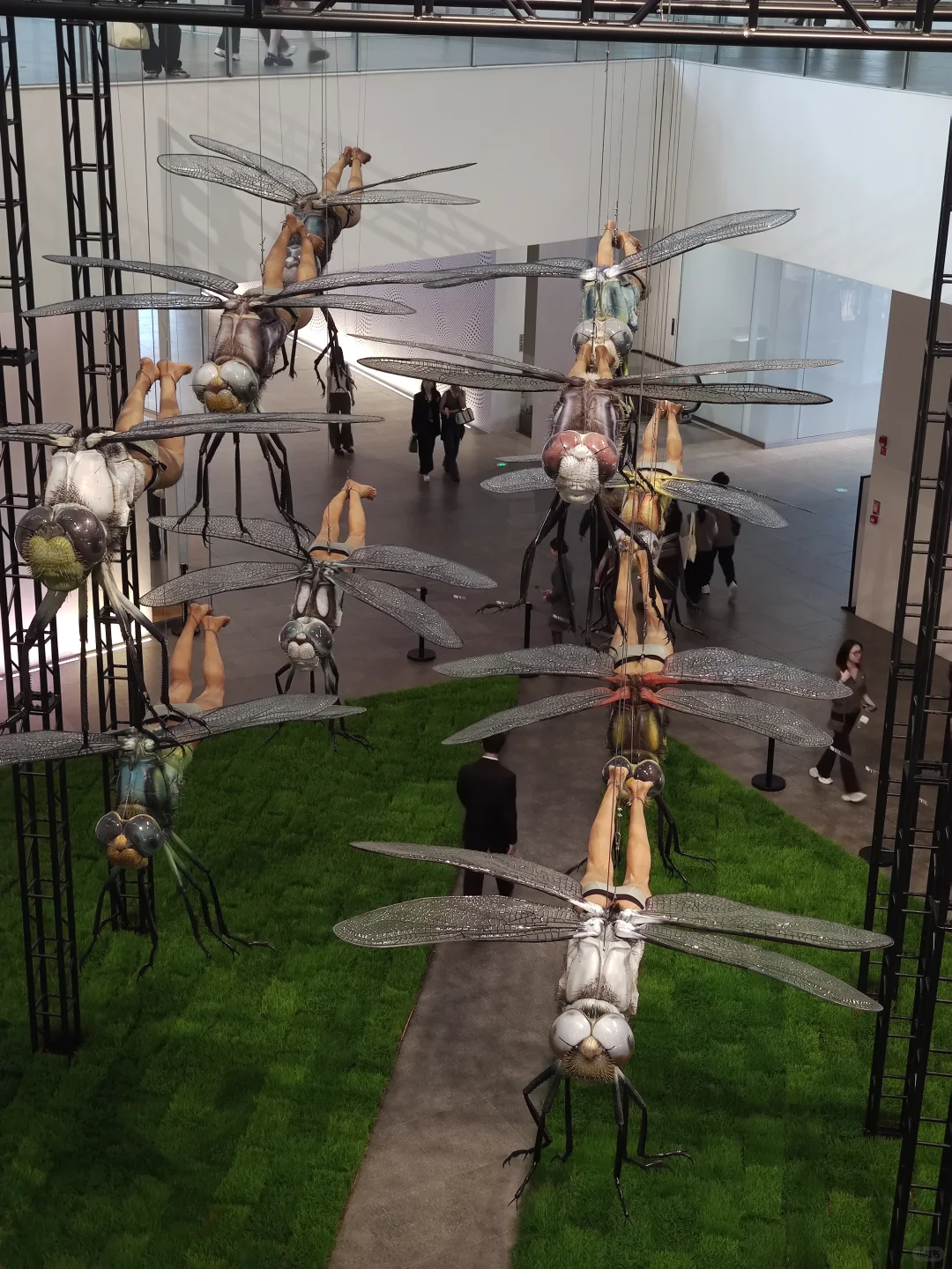 深圳新展·贈?｜超现实！巨型生物艺术