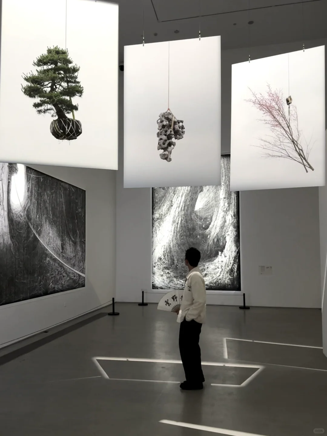 成都近期展览合集！！⭐️赶快码住（大部分免费