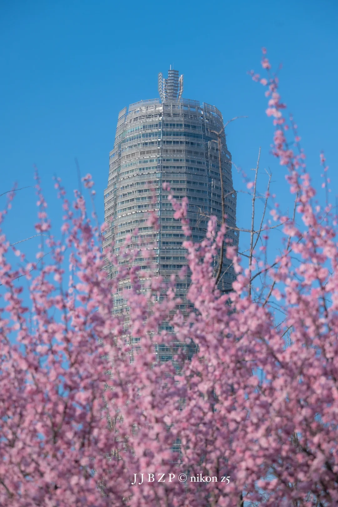 郑州｜大玉米的春和景明
