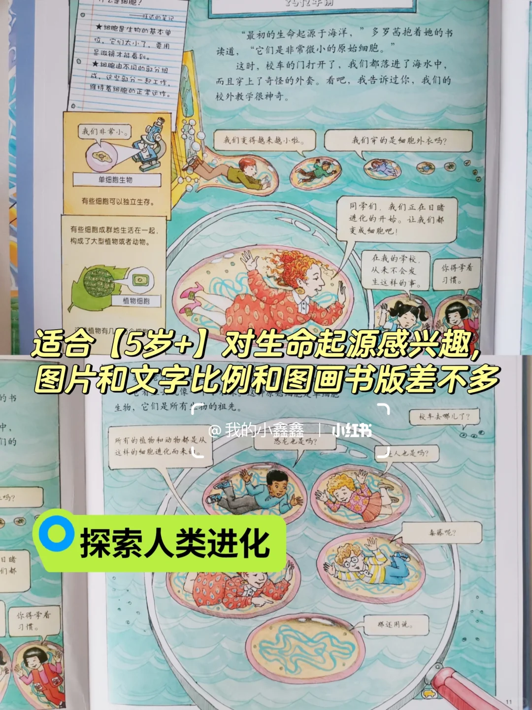 神奇校车5个版本区别和内容|4-6岁