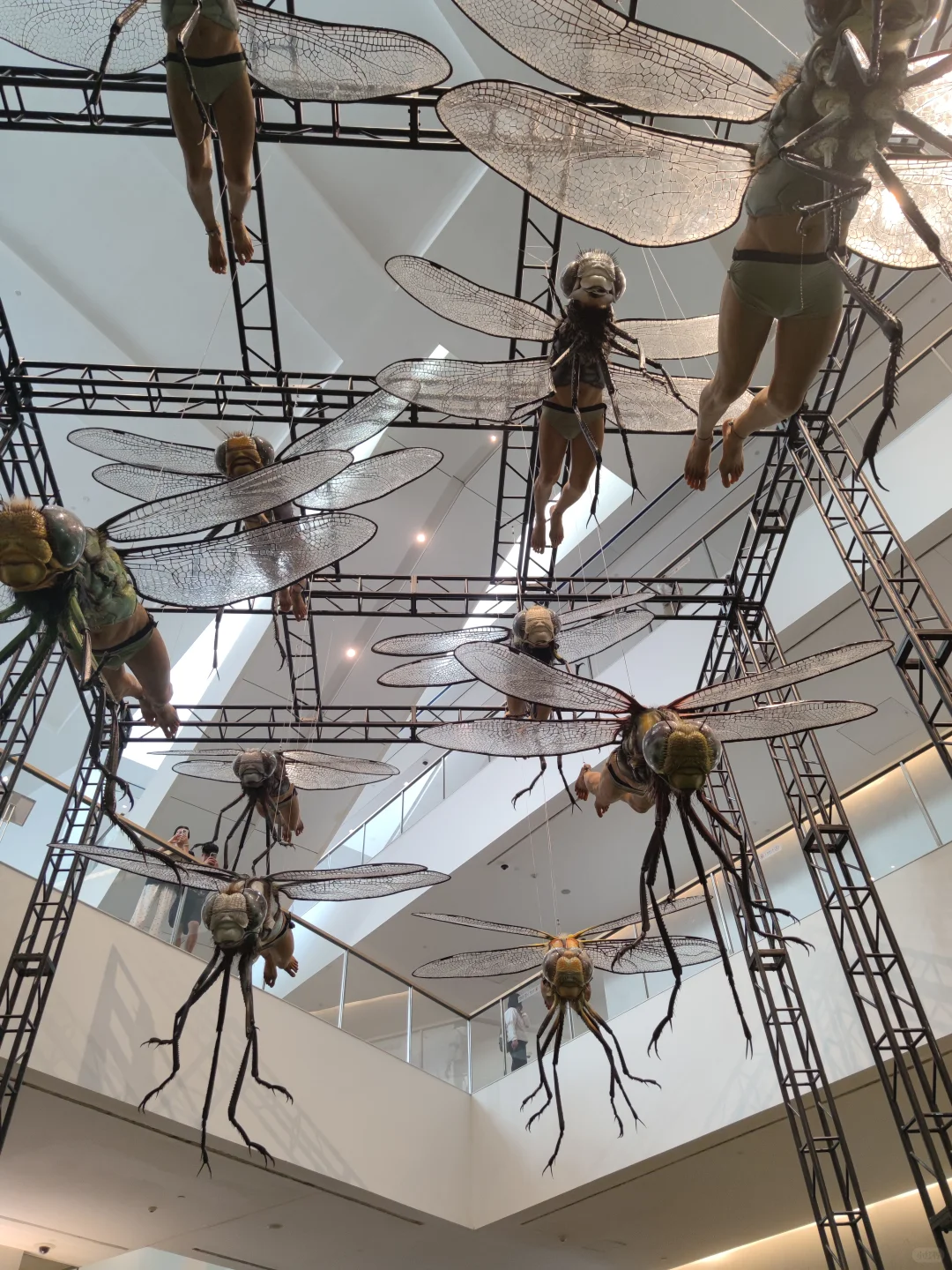 深圳新展·贈?｜超现实！巨型生物艺术