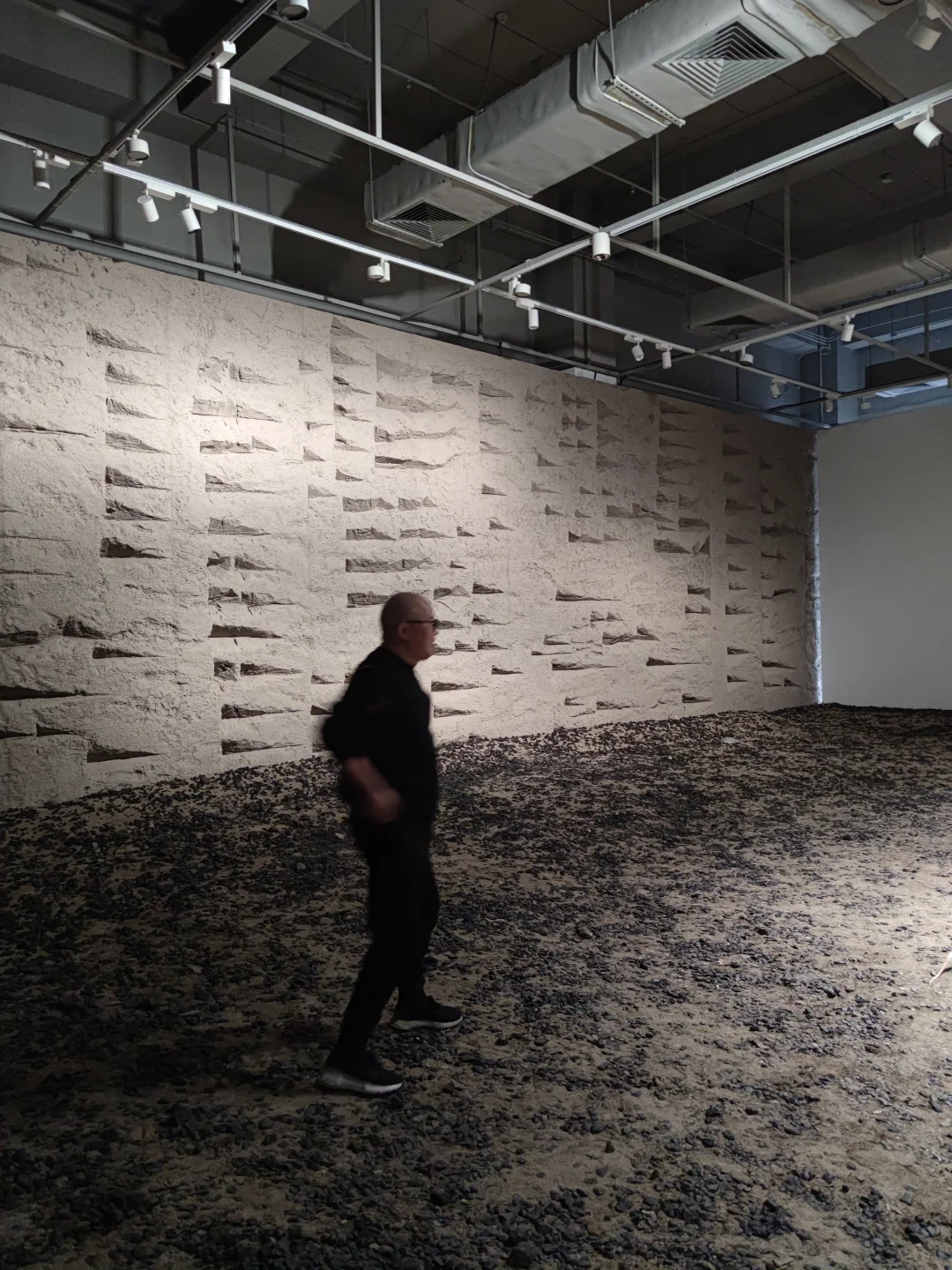 深圳新展·贈?｜超现实！巨型生物艺术