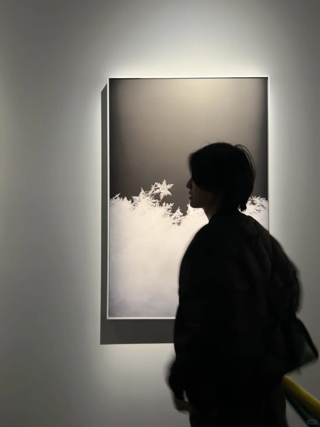 抬头看艺术|i 人的充电时刻,一些看展瞬间