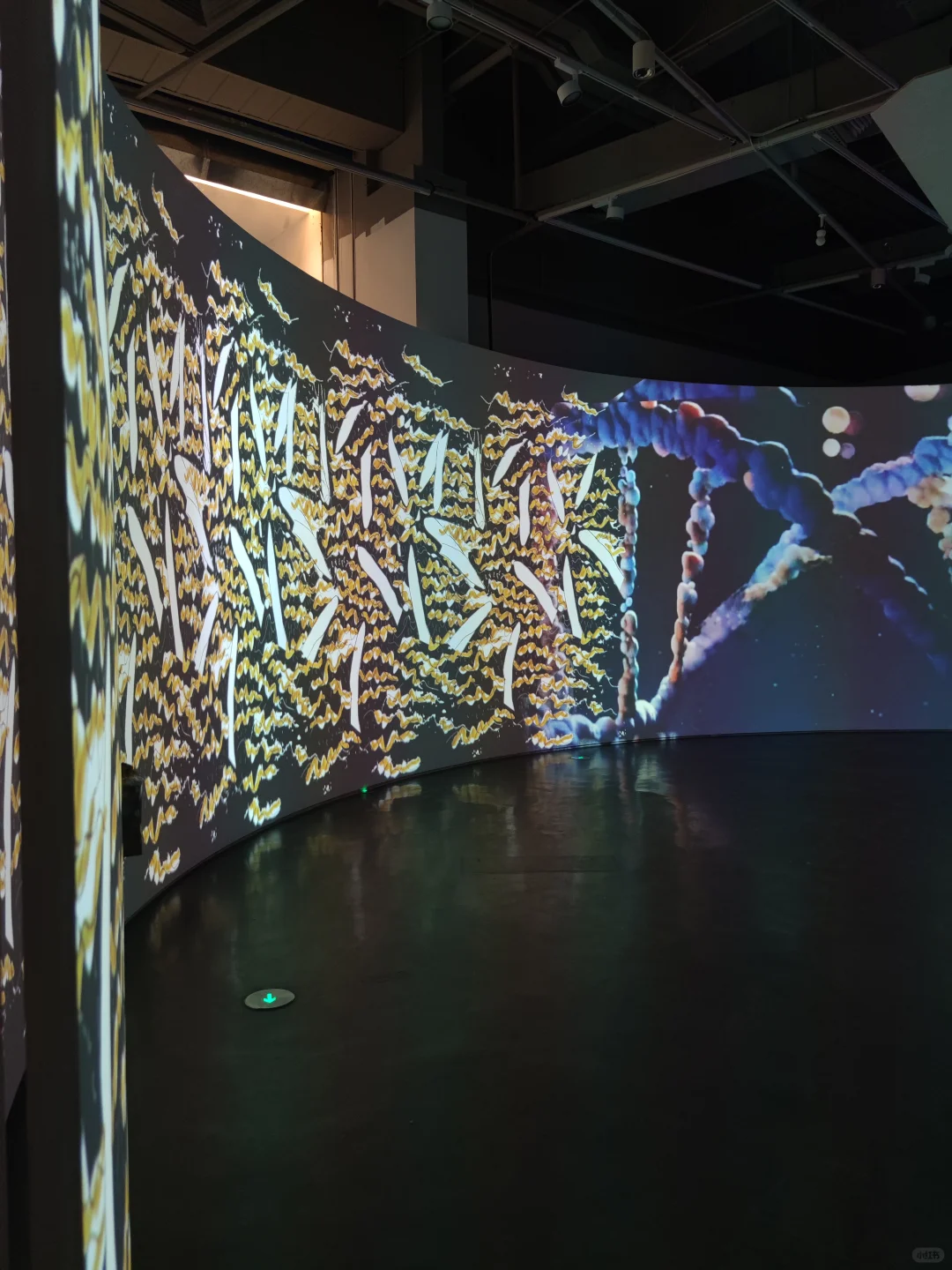 深圳新展·贈?｜超现实！巨型生物艺术