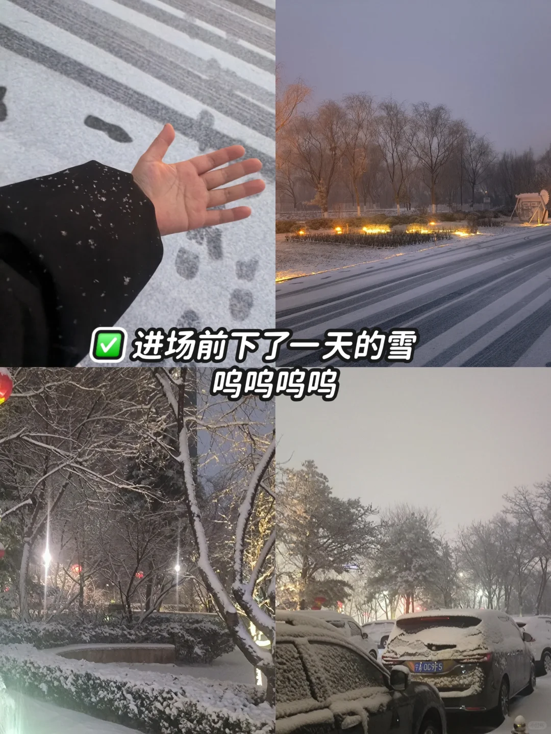 00后会展人|因为不想上班大哭