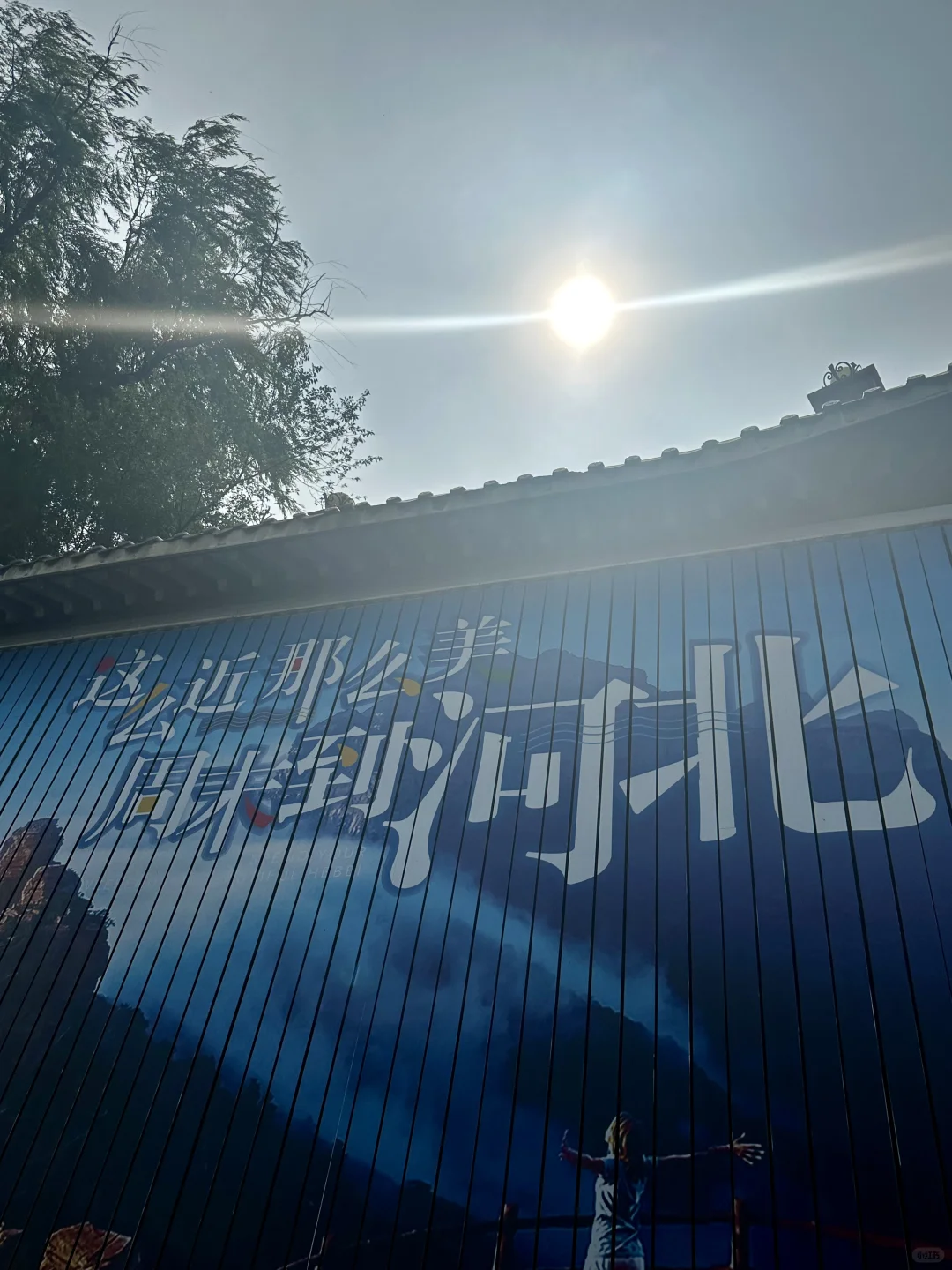 极限大学生往返南京?邯郸 电车环游??