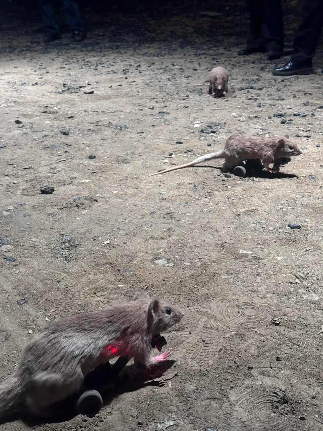 深圳新展｜科幻片照进现实❗️我在美术馆抓?