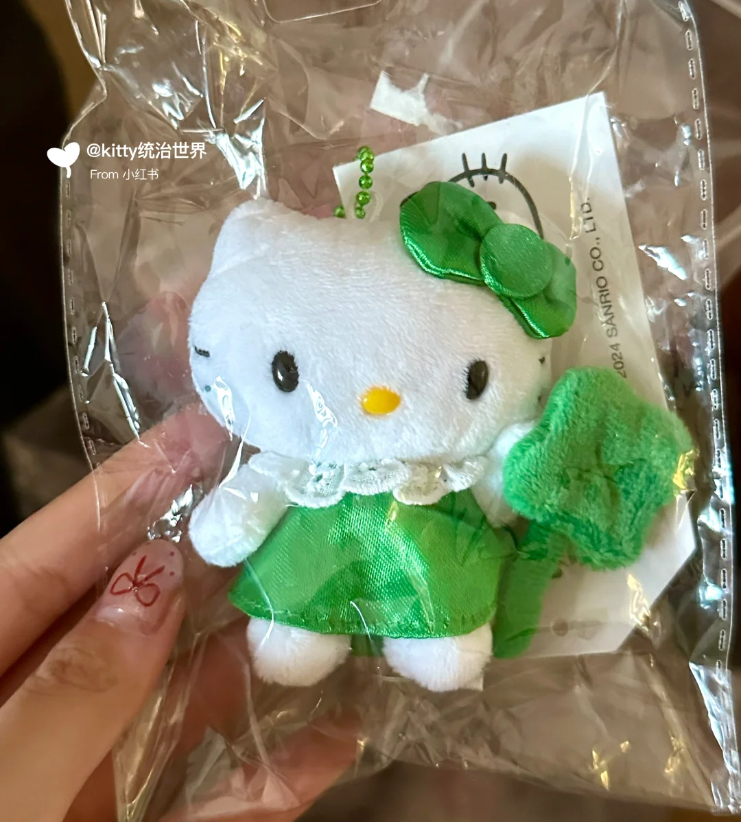 未来中古款预定