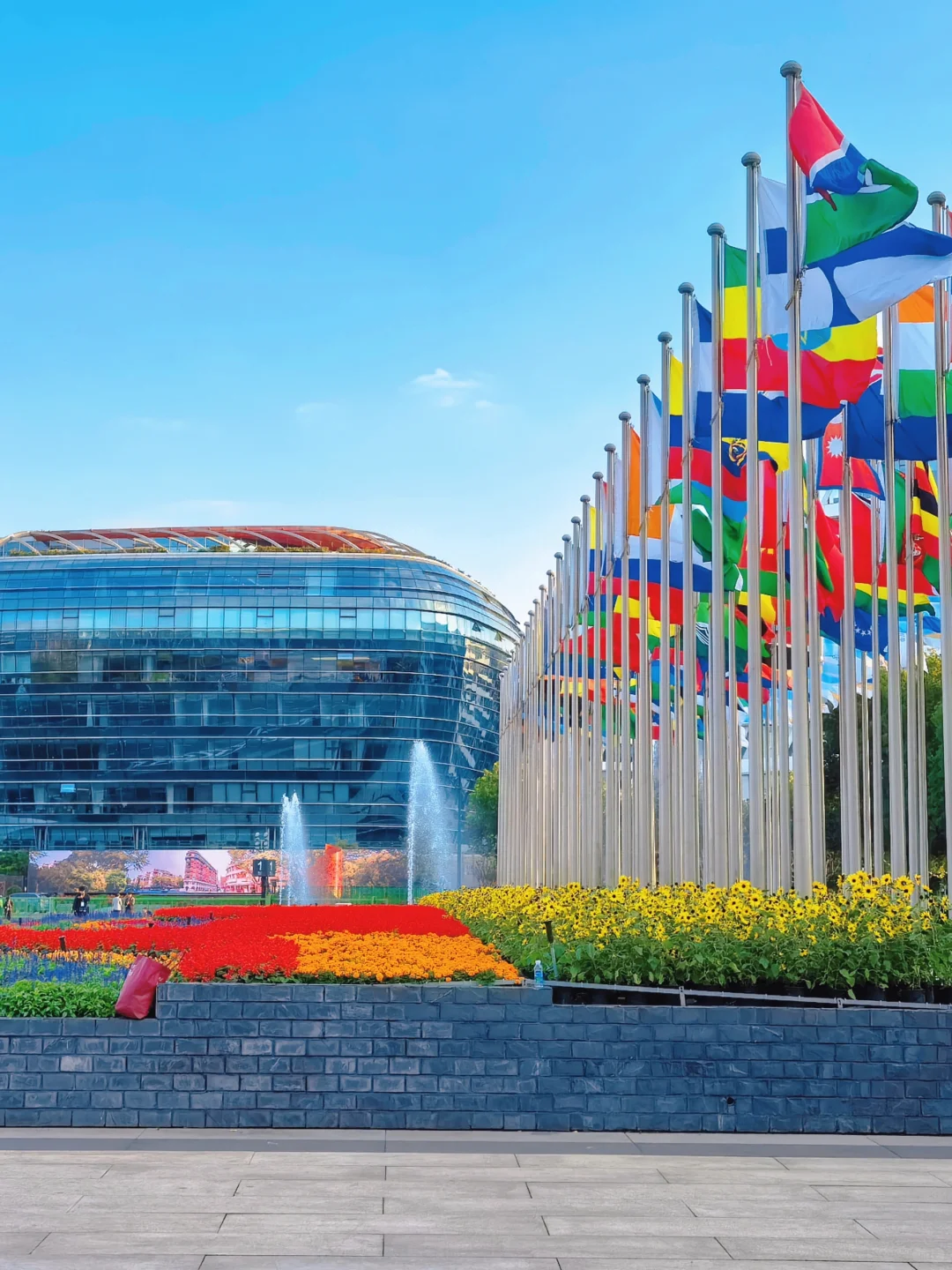 这就是进博会嘛？！?