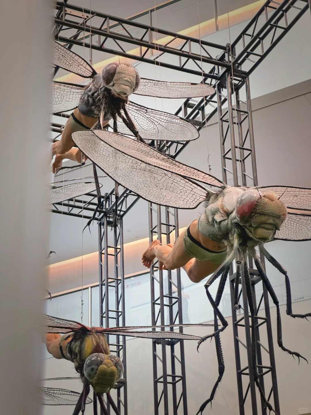 深圳新展｜科幻片照进现实❗️我在美术馆抓?