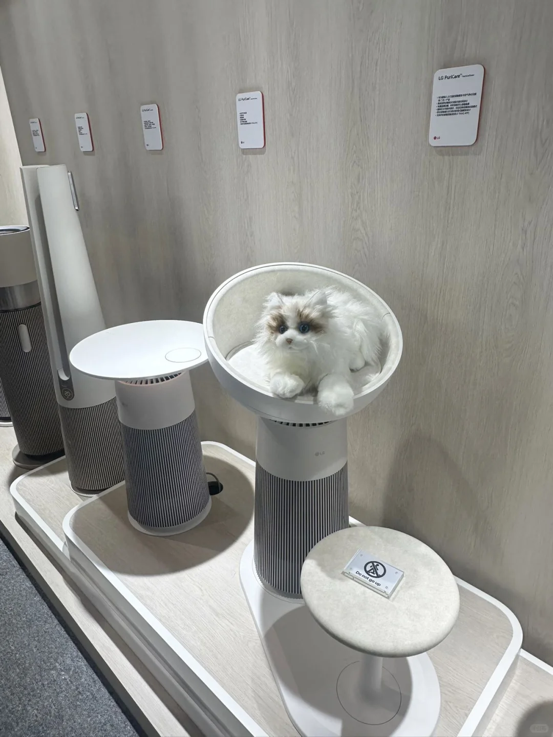 探展AWE| 创新科技与生活美学的邂逅