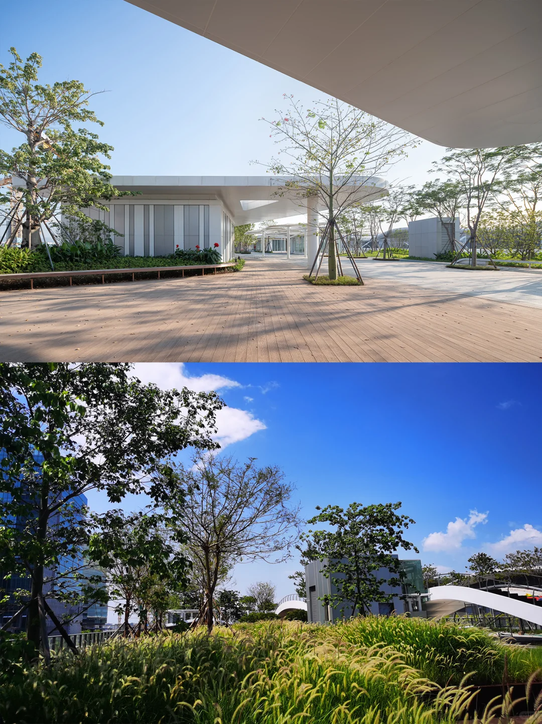 高复合的城市生活：深圳国际会展中心休闲带