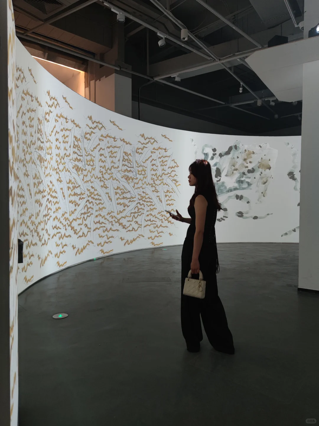 深圳新展·贈?｜超现实！巨型生物艺术