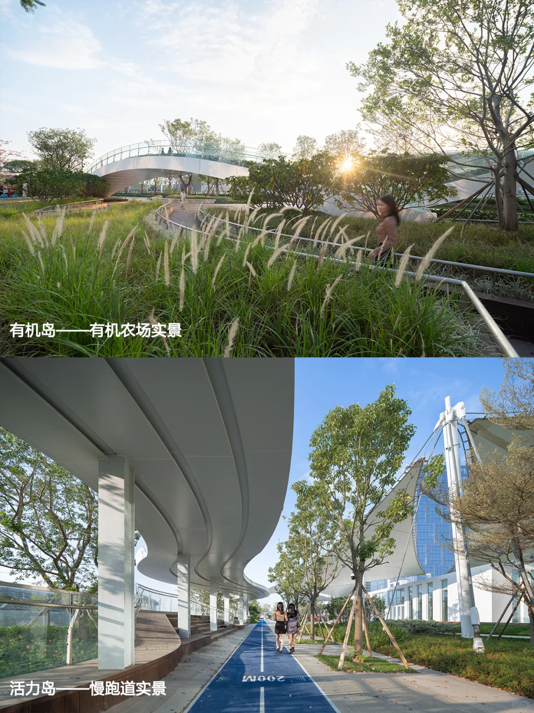 高复合的城市生活：深圳国际会展中心休闲带