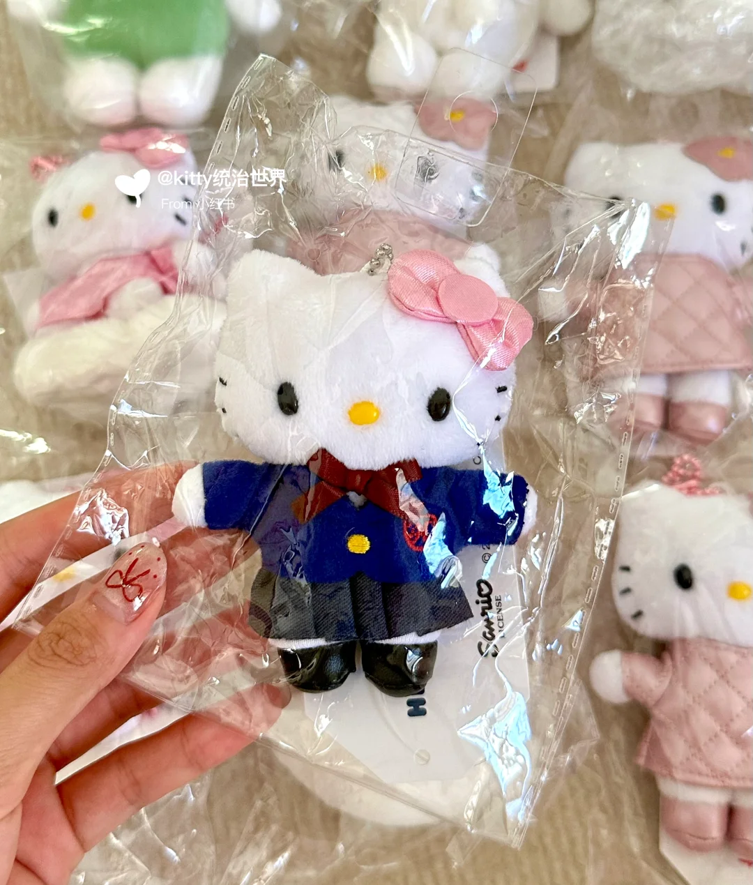 未来中古款预定