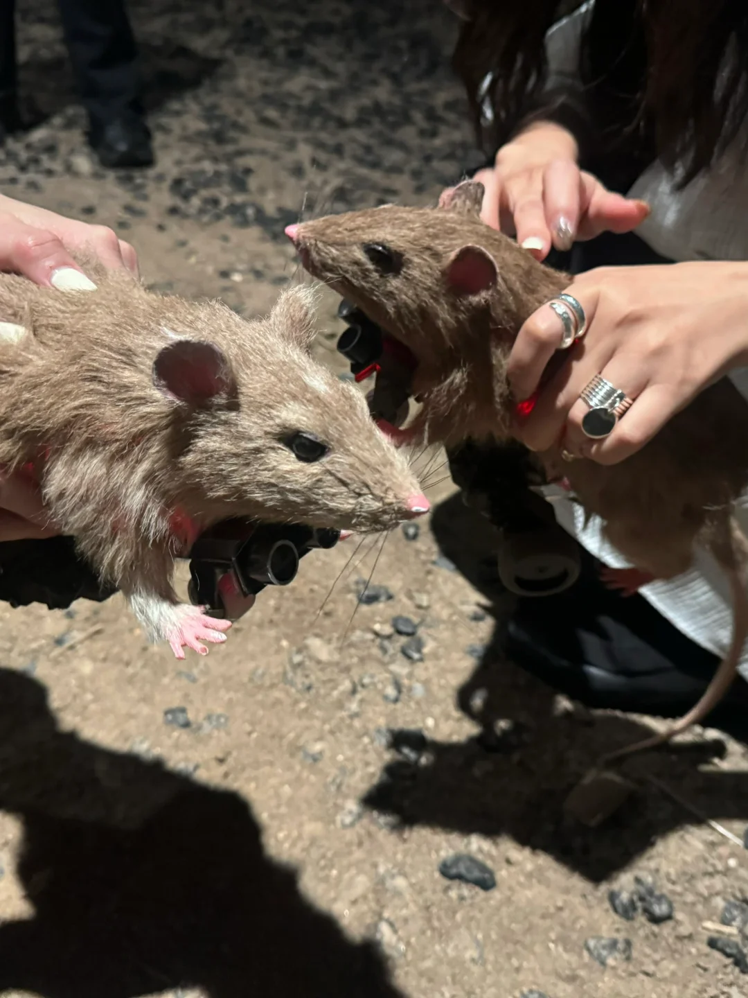 深圳新展｜科幻片照进现实❗️我在美术馆抓?