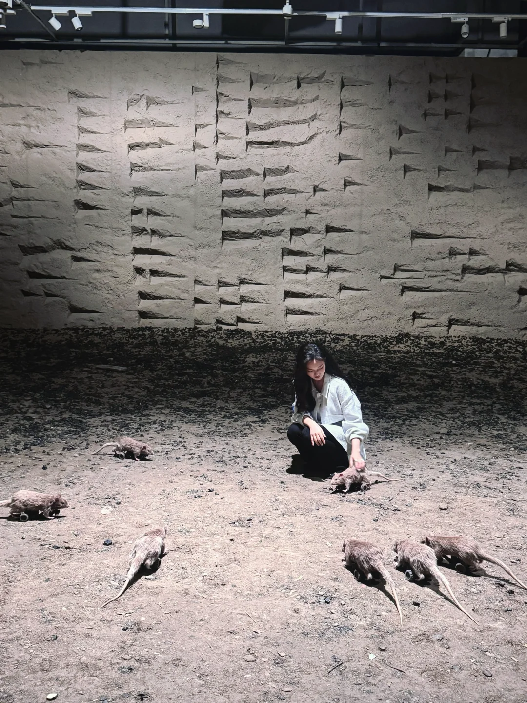 深圳新展｜科幻片照进现实❗️我在美术馆抓?