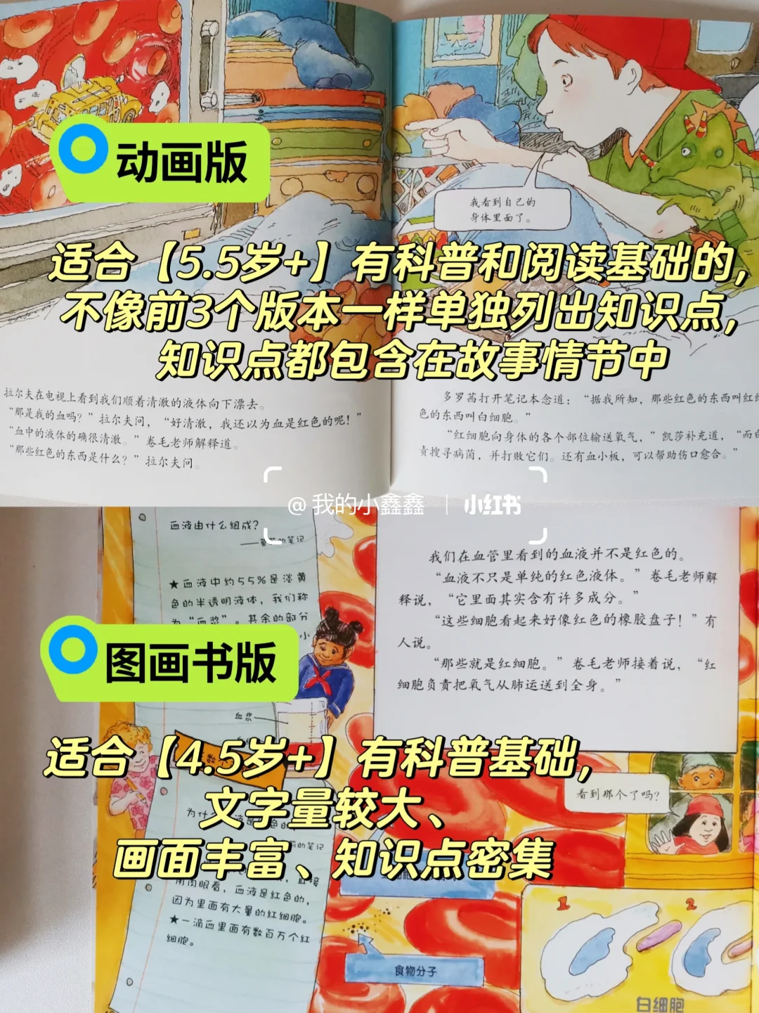 神奇校车5个版本区别和内容|4-6岁