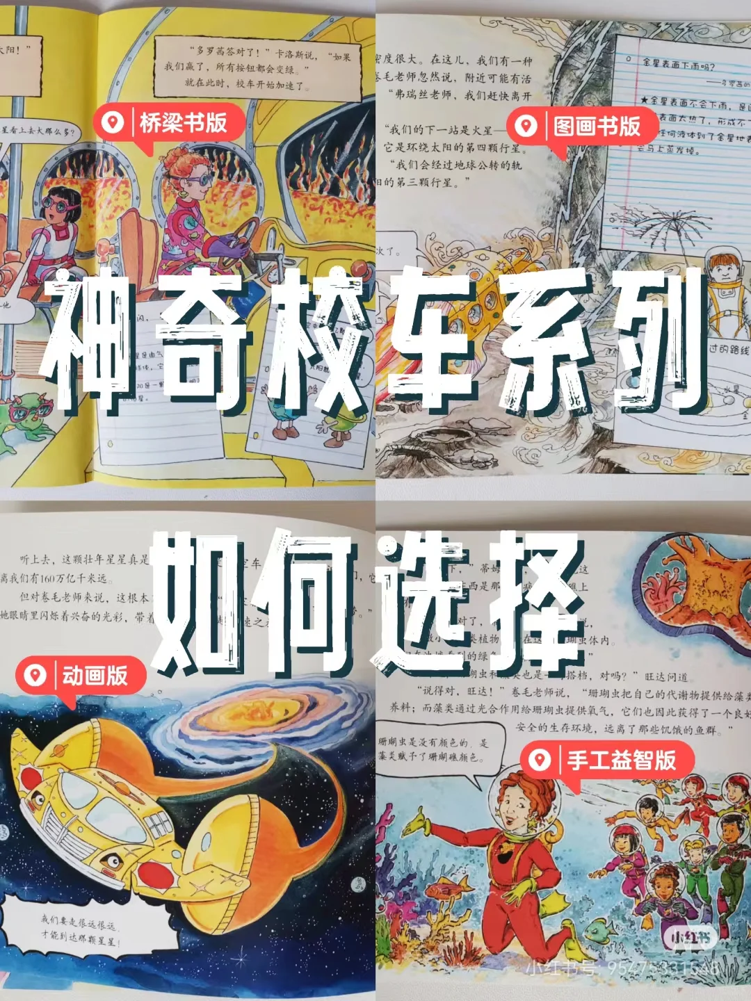 神奇校车5个版本区别和内容|4-6岁