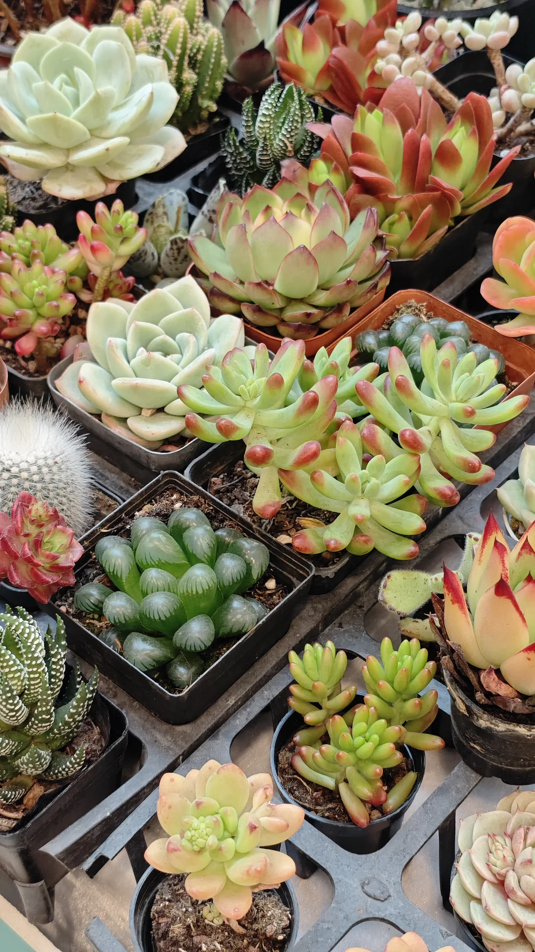 乌鲁木齐会展吾悦太好逛了