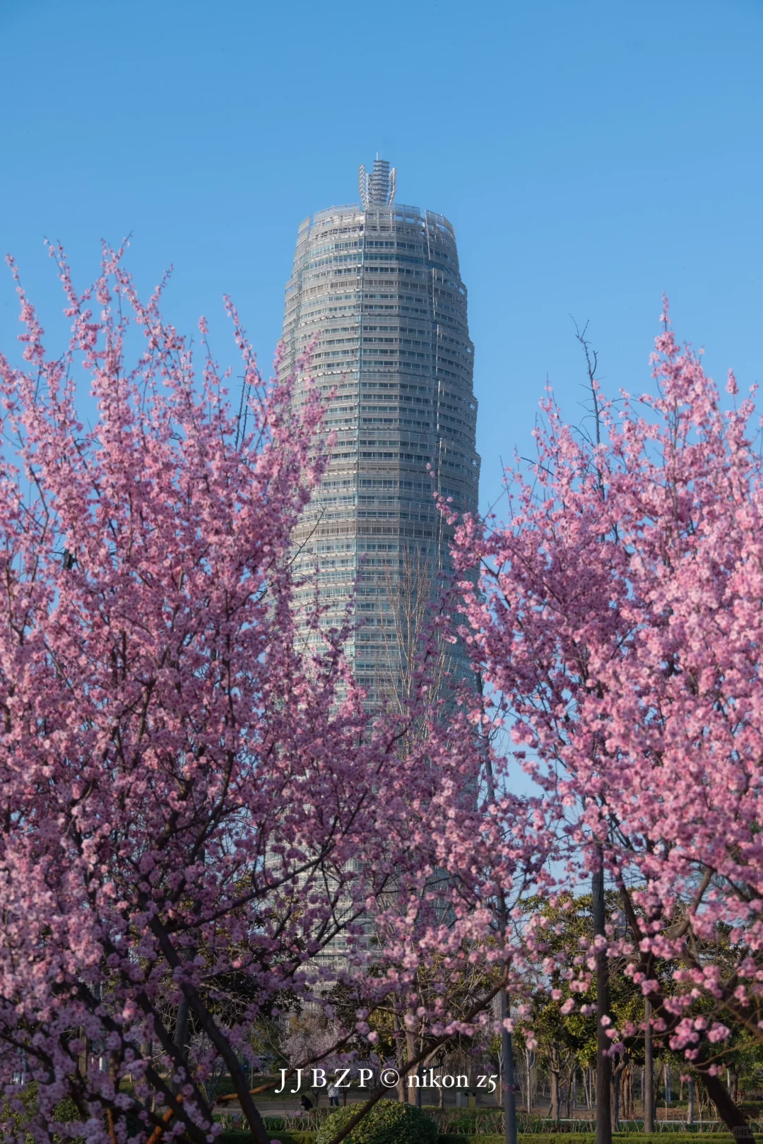 郑州｜大玉米的春和景明