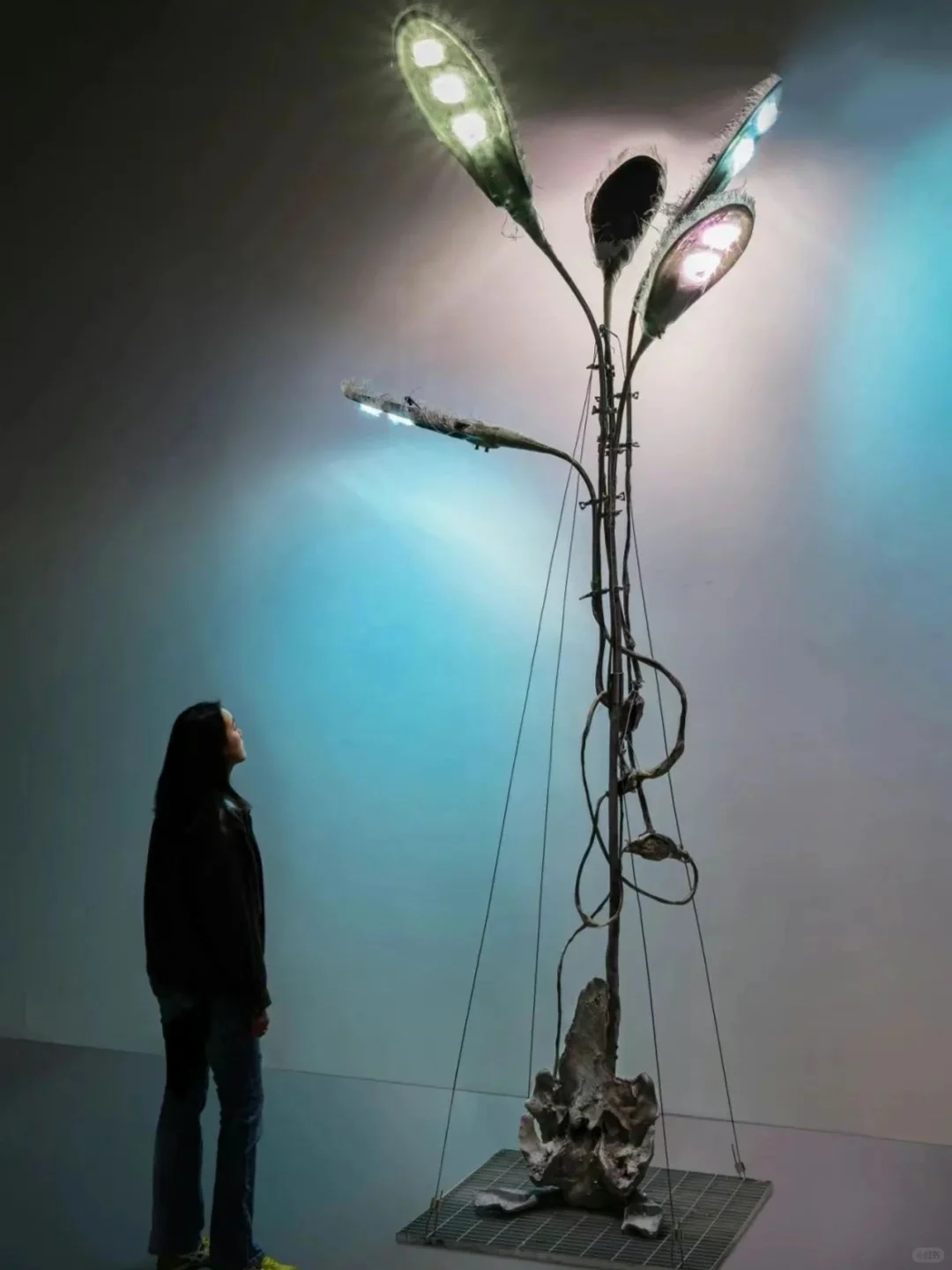 2025香港巴塞尔有哪些看点?